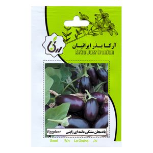بذ ربادمجان مشکی دلمه ای ژاپنی آرکا بذر ایرانیان مدل b68